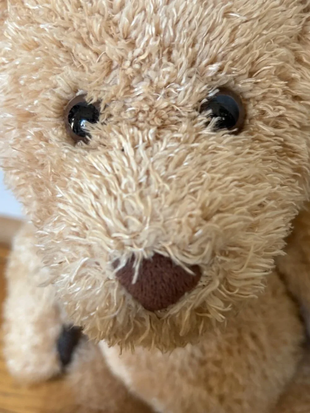 Barnes & Noble Barnsie Bear 17